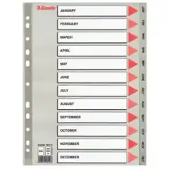 Esselte Register PP A4 Jan-Dec (Eng) grå