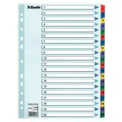 Esselte Register Mylar A4 1-20 flerfarg 
