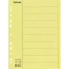 Esselte Skilleblad A4 10-delt manilla