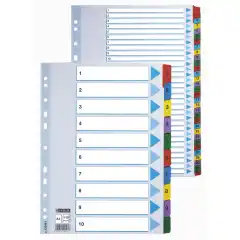 Esselte Register mylar A4 1-12