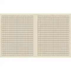 Kladdebok 17x21cm 55g 30bl 5x10mm ruter