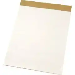 Esselte Flippoverblokk Std. 70g 59x80cm 50 ark